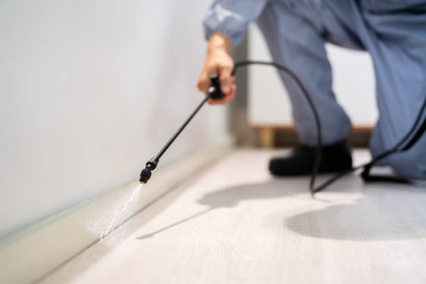 Licensed Cockroach Control service in Brooksville, FL - Nex Pest Control