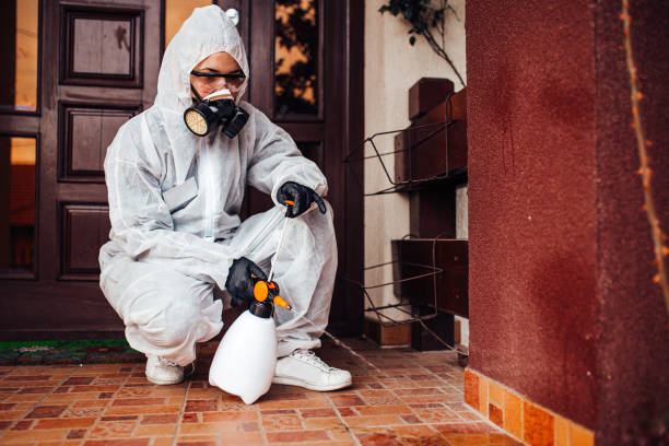 Reliable Cockroach Control contractor in Brooksville, FL by Nex Pest Control